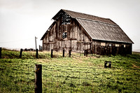 American Landscapes